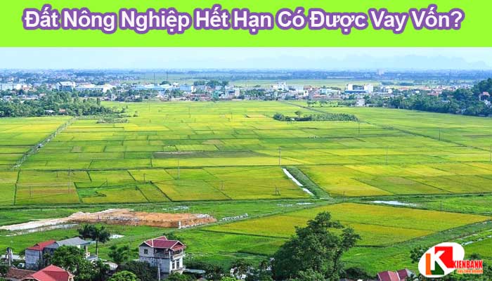 Đất nông nghiệp hết thời hạn sử dụng đất có được tiếp tục vay ngân hàng không